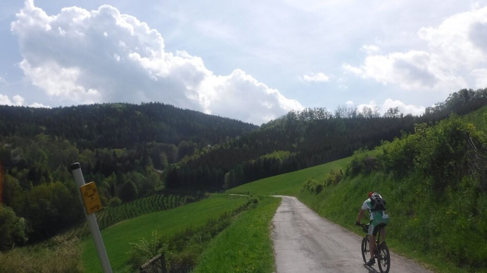 Mountain Biking GEMYSAG fitness trail in the Lactosan sports arena - Touren-Impression #2.3 | © Hans Hollerer