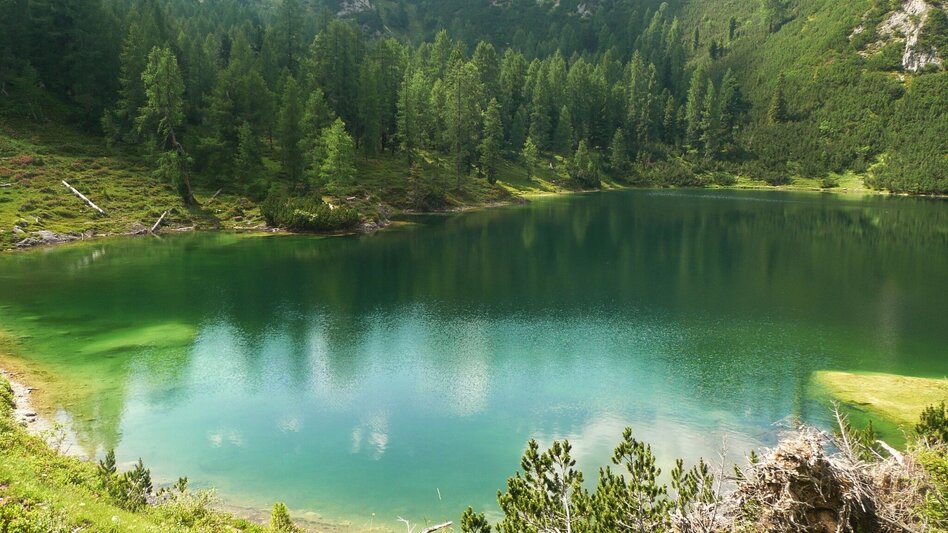 Bergtour Stoderzinken - Ahornsee - Weißenbach - Touren-Impression #2.1 | © Privat