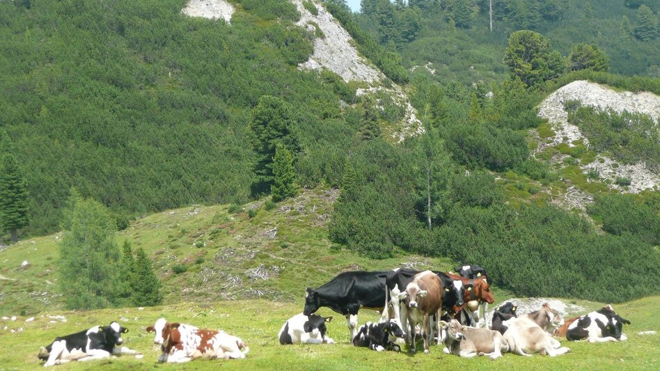 Bergtour Stoderzinken - Ahornsee - Weißenbach - Touren-Impression #2.3 | © Privat