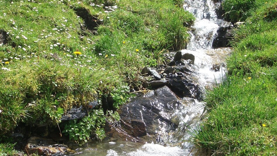 Bergtour Scheibleck-Tour - Touren-Impression #2.5 | © Privat