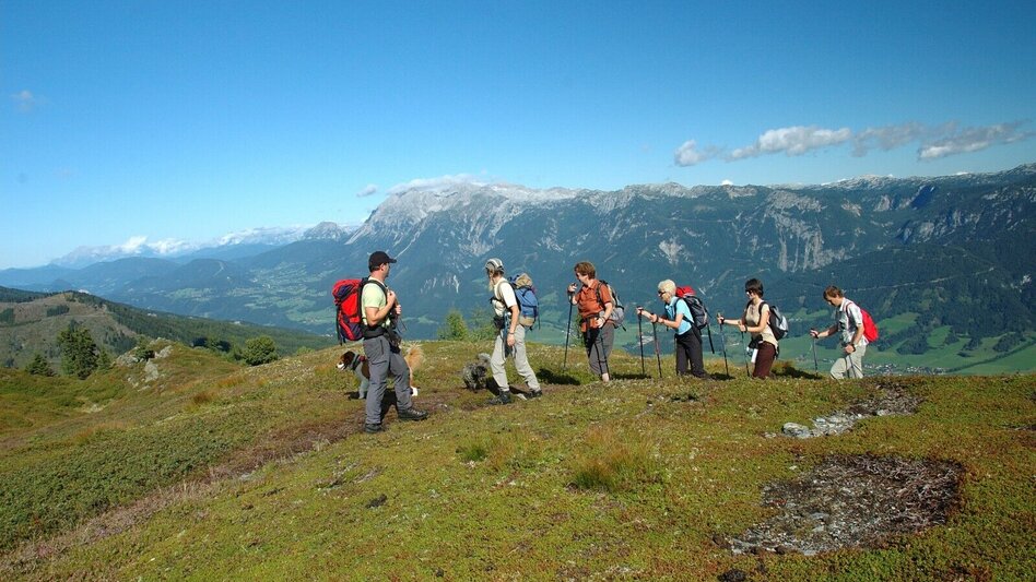 Bergtour Scheibleck-Tour - Touren-Impression #2.6 | © Unbekannt