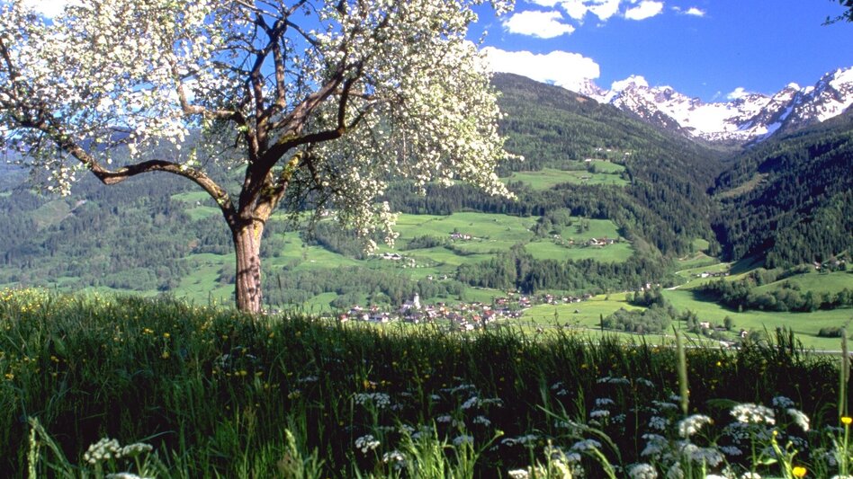 Fernwanderweg Panoramaweg 100 - Etappen südlich der Enns - Touren-Impression #2.1 | © Erlebnisregion Schladming-Dachstein