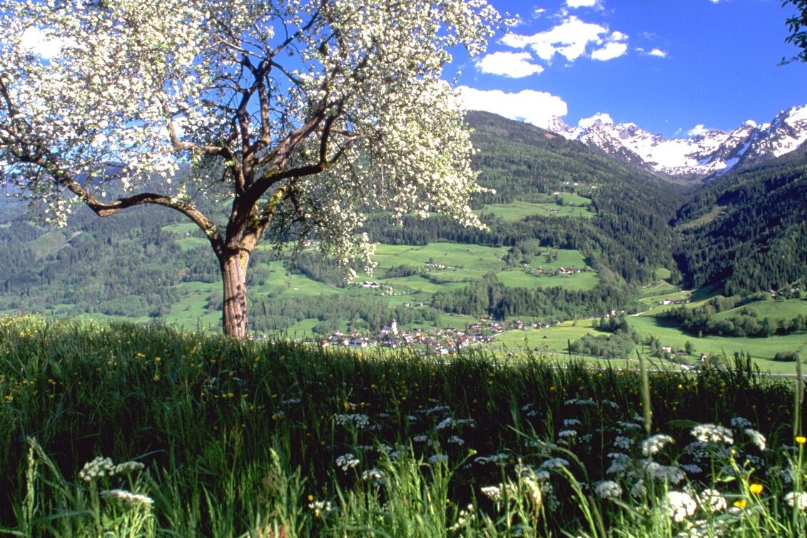 Fernwanderweg Panoramaweg 100 - Etappen südlich der Enns - Touren-Impression #1 | © Erlebnisregion Schladming-Dachstein