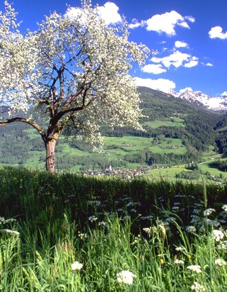 Panoramaweg 100 Sonnseite | Schladming Dachstein | © Erlebnisregion Schladming-Dachstein
