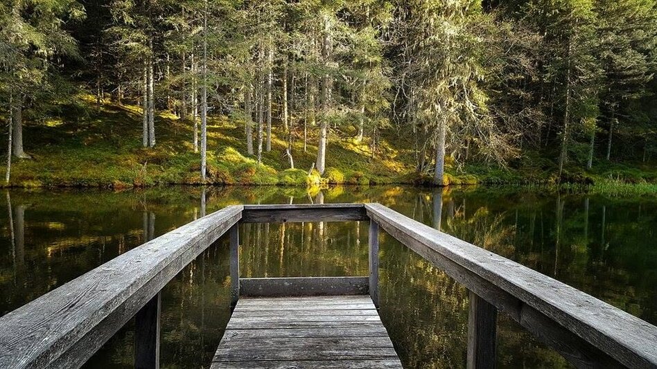Fernwanderweg Panoramaweg 100 - Etappen südlich der Enns - Touren-Impression #2.7 | © Erlebnisregion Schladming-Dachstein