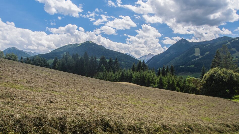 Fernwanderweg Panoramaweg 100 - Etappen nördlich der Enns - Touren-Impression #2.3 | © Erlebnisregion Schladming-Dachstein