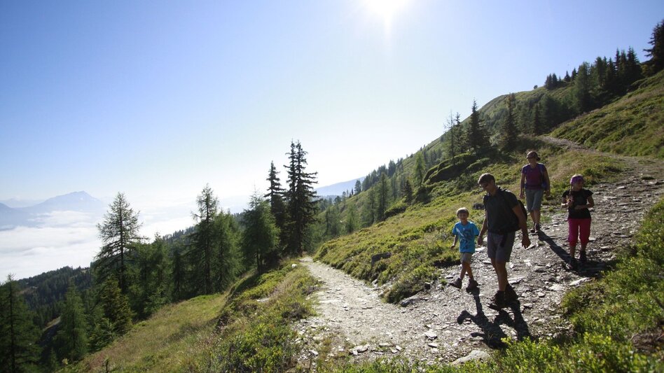 Mountain Hike Mountain tour at the Bärfallspitze - Touren-Impression #2.4 | © Unbekannt