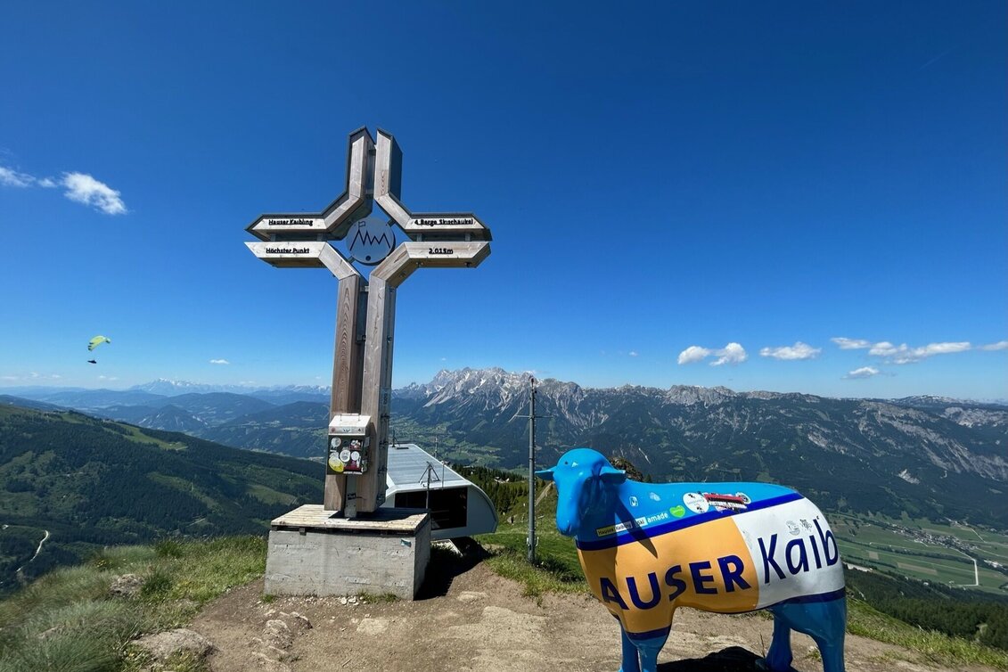 Wanderung Hauser Kaibling Gipfel (2.015 m) - Touren-Impression #1 | © Erlebnisregion Schladming-Dachstein