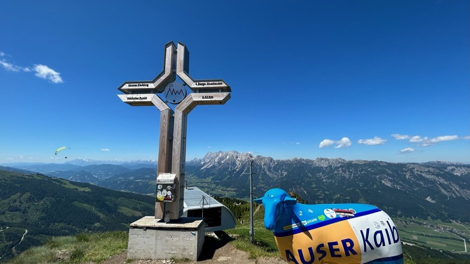 Wanderung Hauser Kaibling Gipfel (2.015 m) - Touren-Impression #2.11 | © Erlebnisregion Schladming-Dachstein