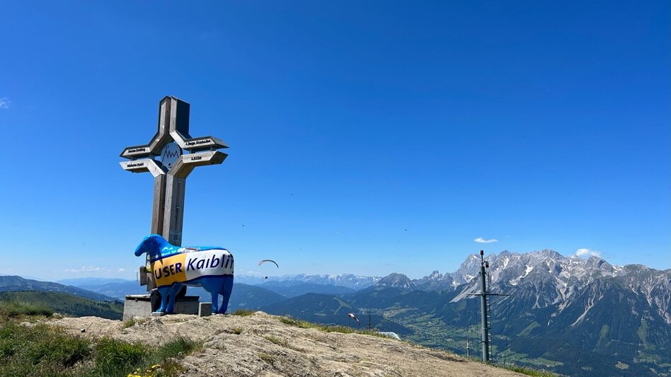 Wanderung Hauser Kaibling Gipfel (2.015 m) - Touren-Impression #2.12 | © Erlebnisregion Schladming-Dachstein