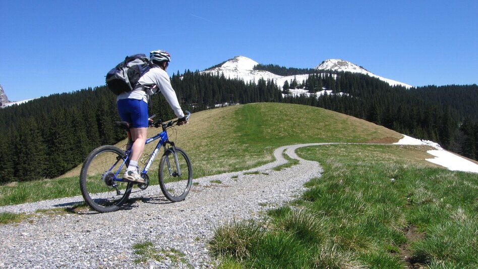 Mountain Biking Mountain Biking Tour to Dürriegelalm in the Mürzer Oberland Nature Park - Touren-Impression #2.1 | © Naturpark Mürzer Oberland