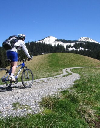 Rauf auf die Dürrieglalm ... | Daniela Paul | © Naturpark Mürzer Oberland
