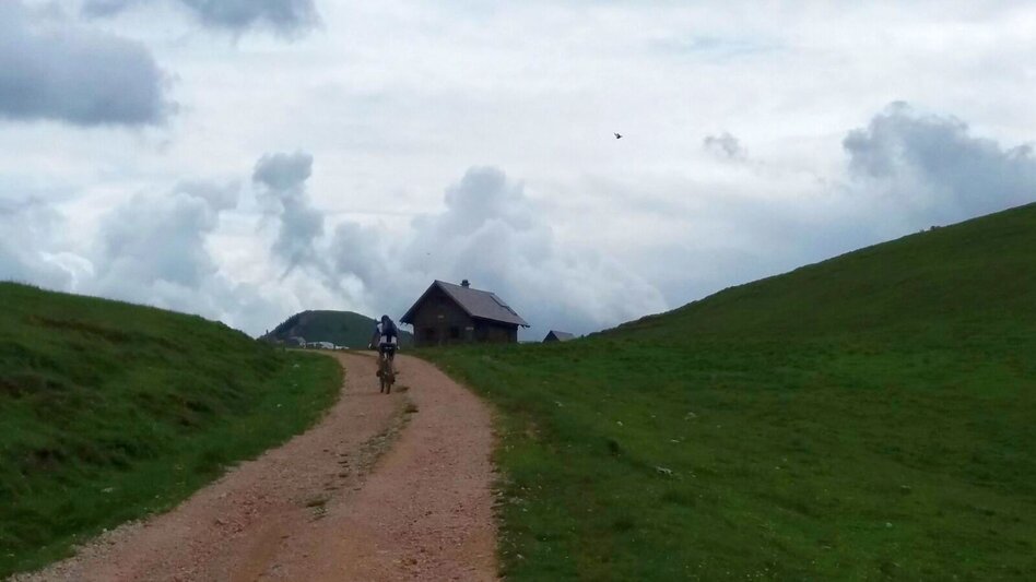 Mountain Biking Mountain Biking Tour to Dürriegelalm in the Mürzer Oberland Nature Park - Touren-Impression #2.5 | © Naturpark Mürzer Oberland