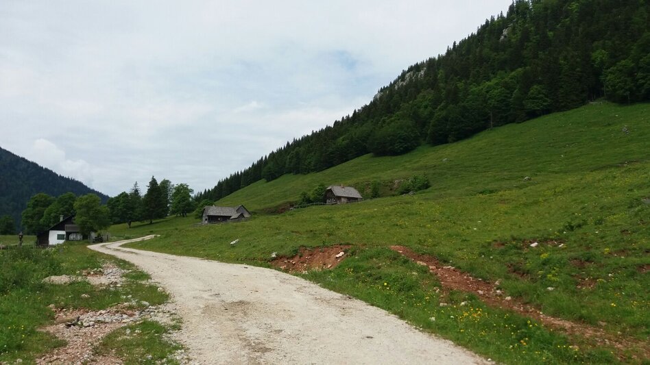Mountain Biking Mountain Biking Tour to Dürriegelalm in the Mürzer Oberland Nature Park - Touren-Impression #2.6 | © Naturpark Mürzer Oberland