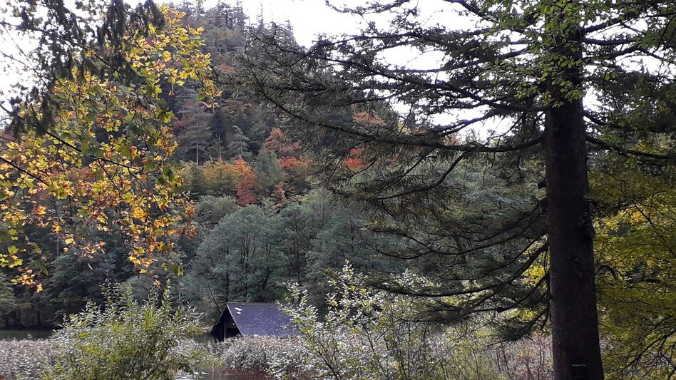Radfahren Seeau4family LN 16 - Touren-Impression #2.13 | © Tourismusverband ERZBERG LEOBEN