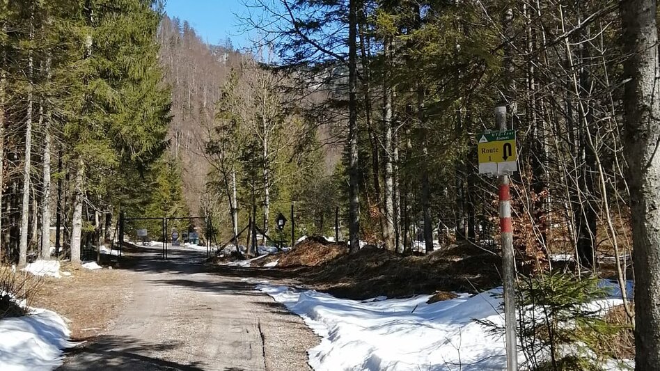 Radfahren Seeau4family LN 16 - Touren-Impression #2.2 | © Tourismusverband ERZBERG LEOBEN