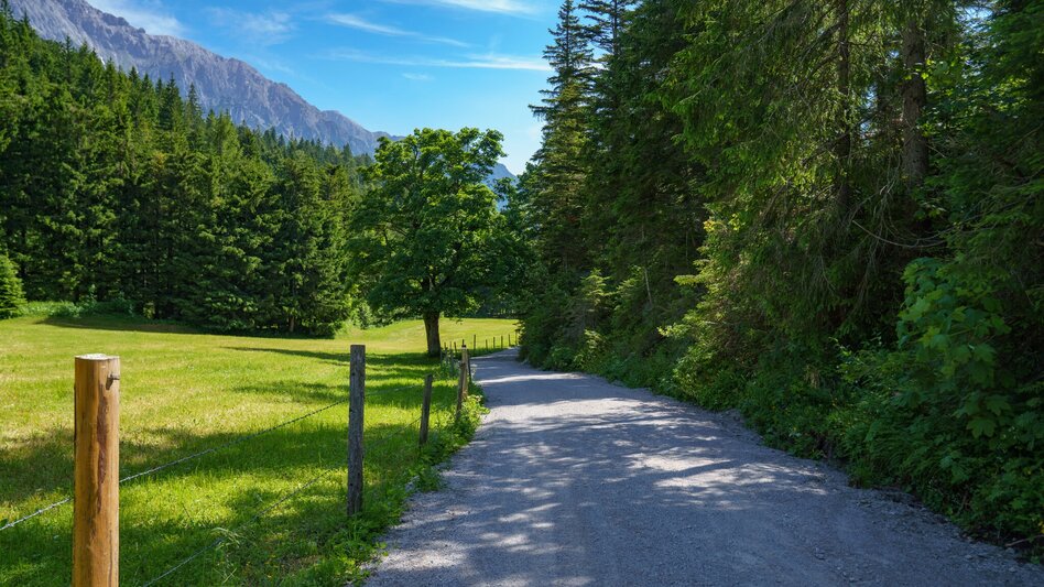 Wanderung Wander- und Hüttenerlebnis Halserberg-Rittisberg - Touren-Impression #2.11 | © Christine Höflehner