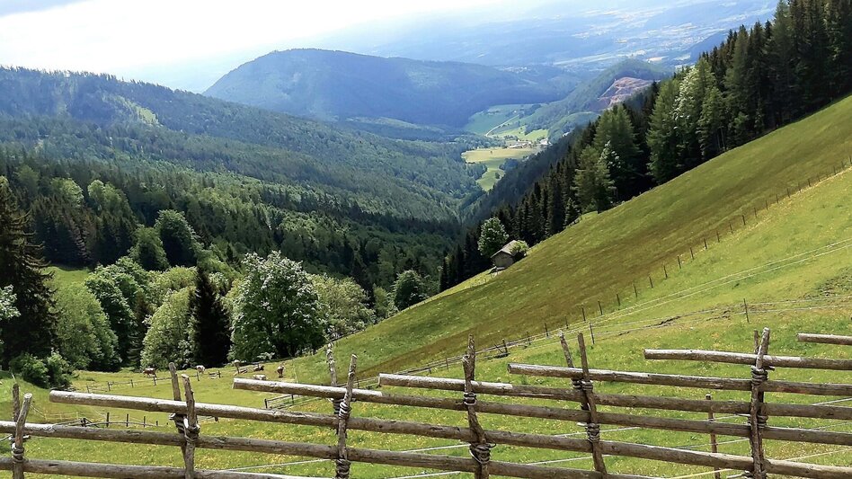 Hiking route Zetz Round from St. Kathrein am Offenegg - Touren-Impression #2.9 | © Oststeiermark Tourismus