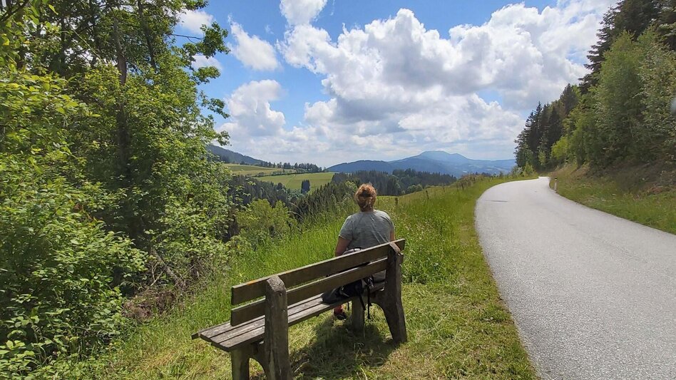 Hiking route Zetz Round from St. Kathrein am Offenegg - Touren-Impression #2.11 | © Oststeiermark Tourismus