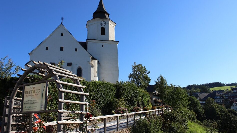 Hiking route Zetz Round from St. Kathrein am Offenegg - Touren-Impression #2.13 | © Oststeiermark Tourismus