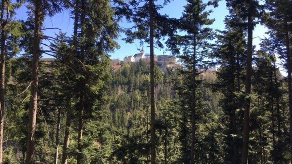 Hiking route Mistlegg-Runde in St. Kathrein/Offenegg - Touren-Impression #2.4 | © Oststeiermark Tourismus