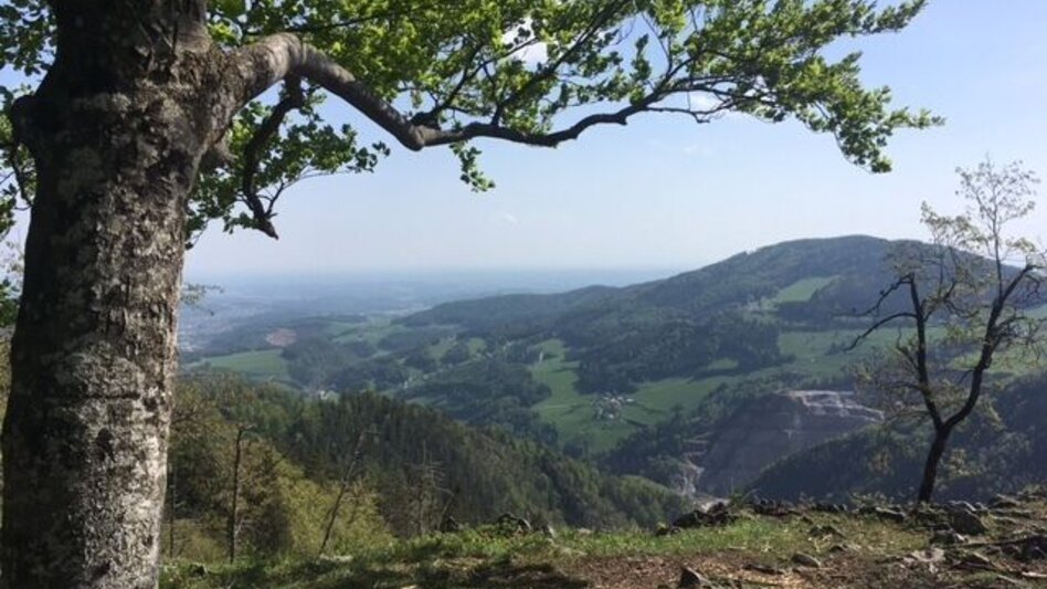 Hiking route Patscha-Trail St. Kathrein am Offenegg - Touren-Impression #2.1 | © Oststeiermark Tourismus