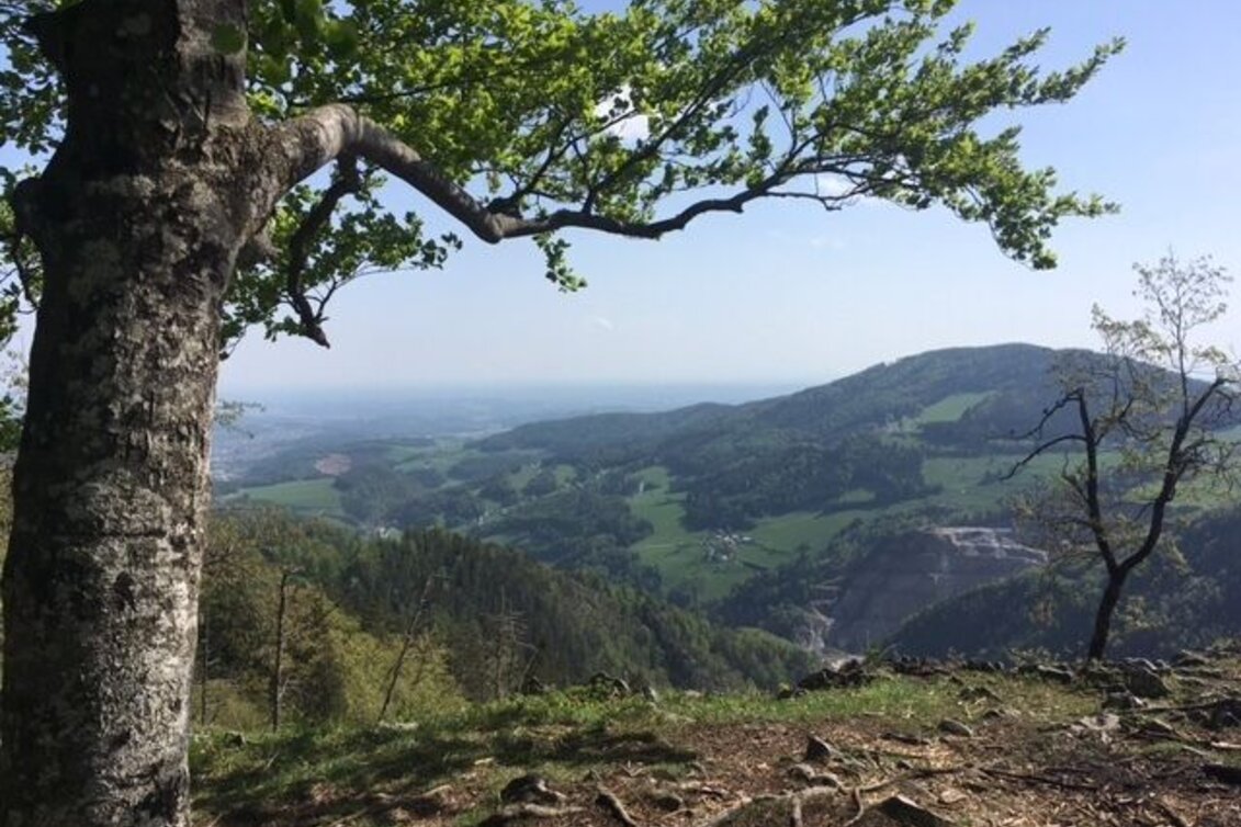 Hiking route Patscha-Trail St. Kathrein am Offenegg - Touren-Impression #1 | © Oststeiermark Tourismus