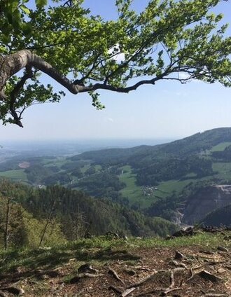 Ausblick von der Patscha-Nase | Christine Pollhammer | © Oststeiermark Tourismus