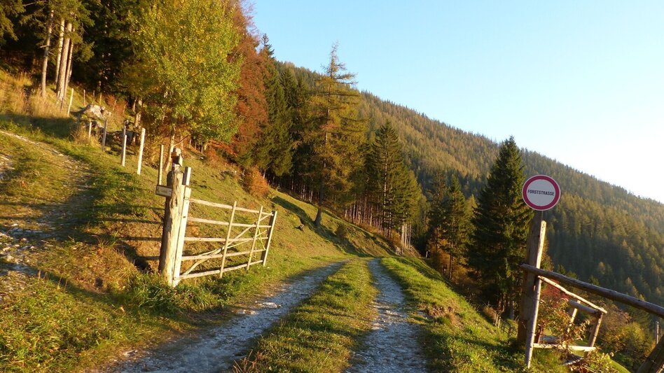 Hiking route Patscha-Trail St. Kathrein am Offenegg - Touren-Impression #2.2 | © Oststeiermark Tourismus