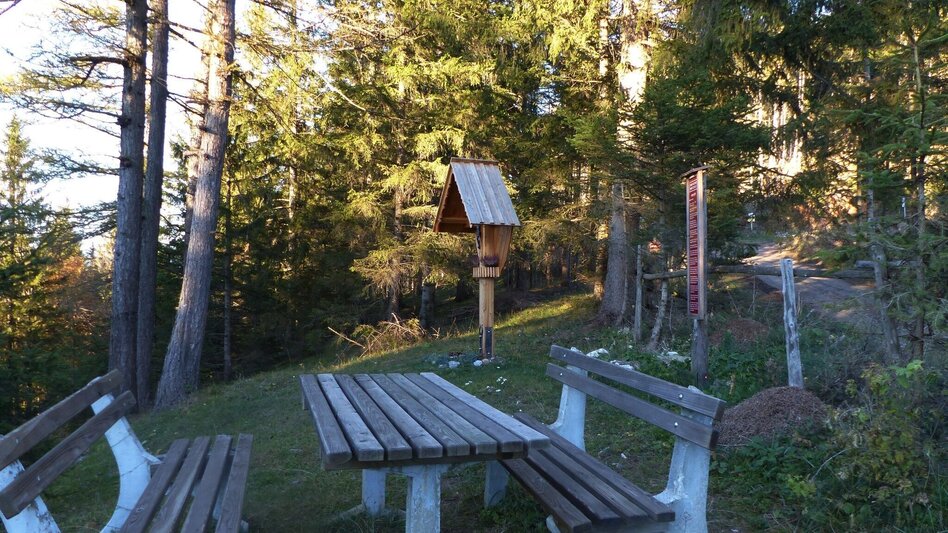 Hiking route Patscha-Trail St. Kathrein am Offenegg - Touren-Impression #2.3 | © Oststeiermark Tourismus