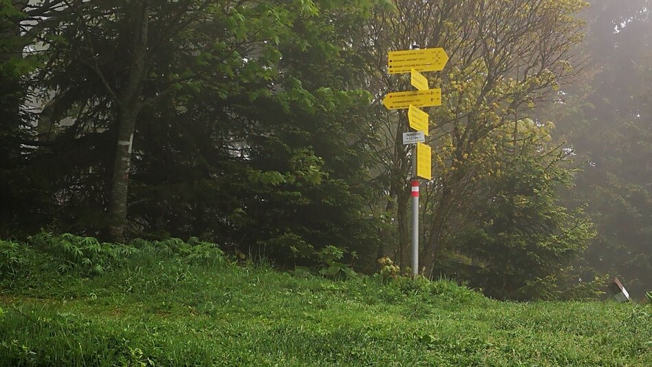 Mountain Hike Danielsteig through the Kahlmäuer in the Mürzer Oberland Nature Park. - Touren-Impression #2.1 | © Andreas Steininger