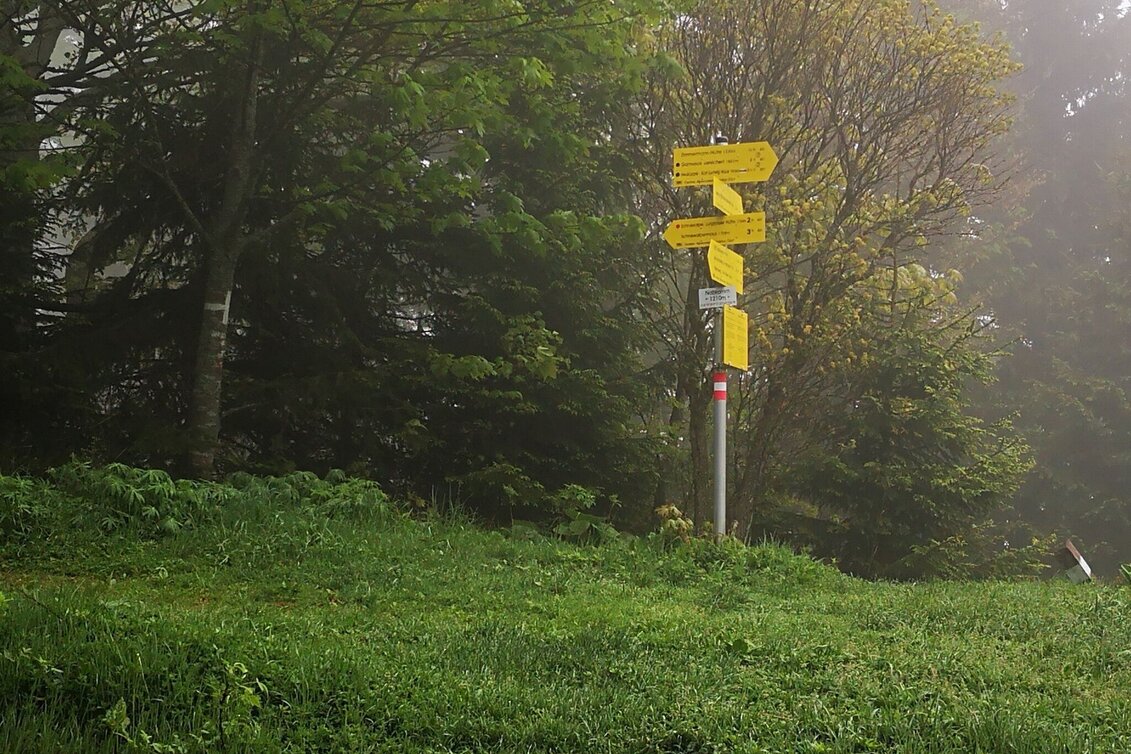Mountain Hike Danielsteig through the Kahlmäuer in the Mürzer Oberland Nature Park. - Touren-Impression #1 | © Andreas Steininger