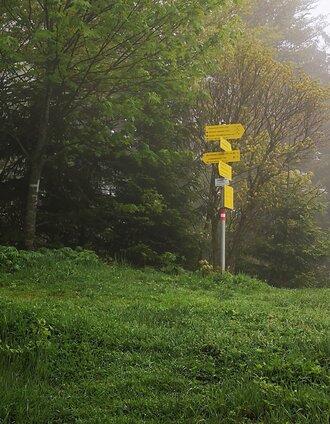 Am Nasskamm | Andreas Steininger | © Andreas Steininger