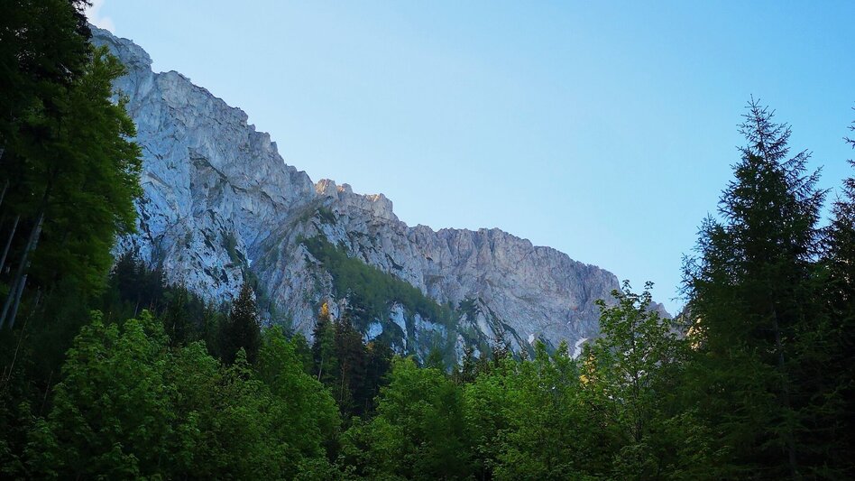 Mountain Hike Danielsteig through the Kahlmäuer in the Mürzer Oberland Nature Park. - Touren-Impression #2.2 | © Andreas Steininger