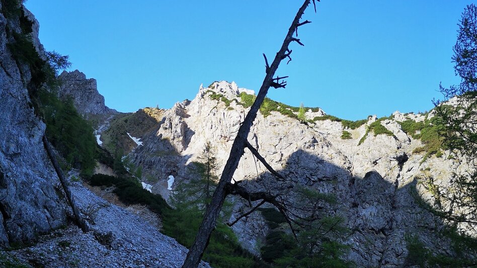 Mountain Hike Danielsteig through the Kahlmäuer in the Mürzer Oberland Nature Park. - Touren-Impression #2.4 | © Andreas Steininger