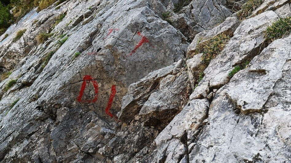 Mountain Hike Danielsteig through the Kahlmäuer in the Mürzer Oberland Nature Park. - Touren-Impression #2.5 | © Andreas Steininger