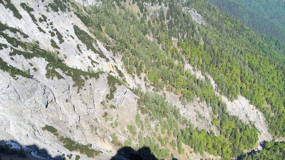 Mountain Hike Danielsteig through the Kahlmäuer in the Mürzer Oberland Nature Park. - Touren-Impression #2.8 | © Andreas Steininger