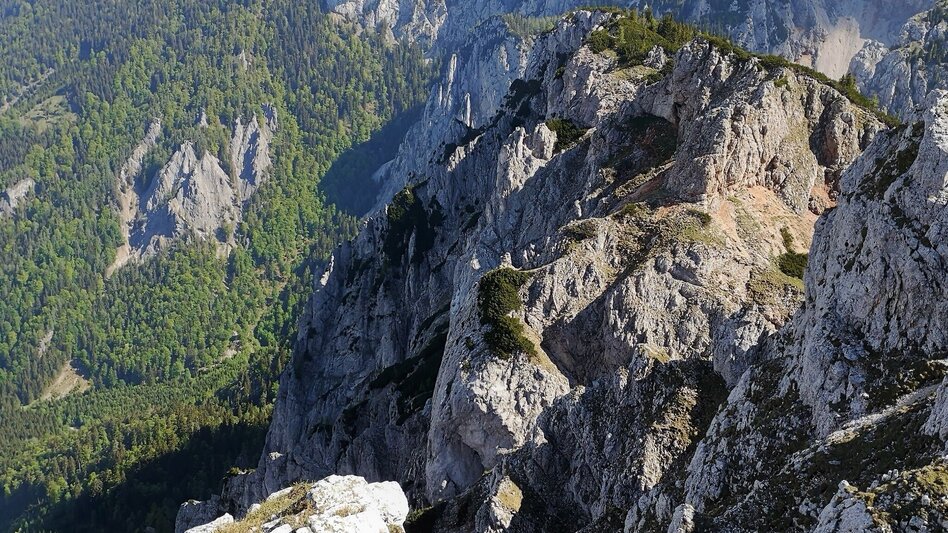 Mountain Hike Danielsteig through the Kahlmäuer in the Mürzer Oberland Nature Park. - Touren-Impression #2.10 | © Andreas Steininger