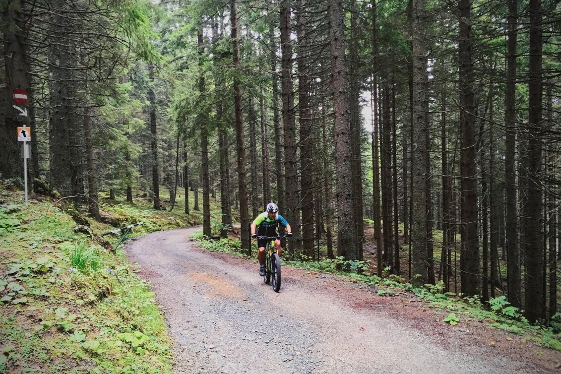 Mountain Biking Schwoag-Wirtbartl - through the Rockys - Touren-Impression #1 | © Südsteiermark