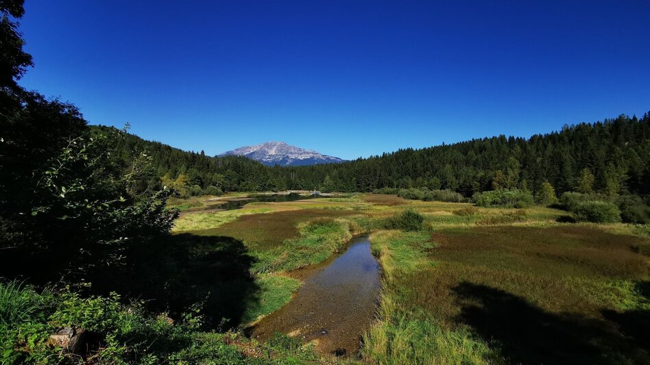 Road Cycling Gscheid - Round - Touren-Impression #2.5 | © TV Hochsteiermark