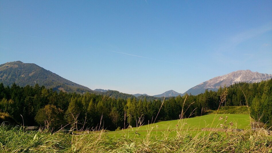 Road Cycling Gscheid - Round - Touren-Impression #2.2 | © TV Hochsteiermark