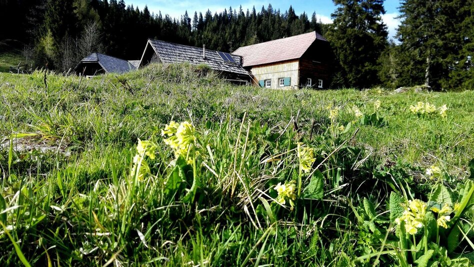Hiking route Around the Mürzer Oberland Nature Park - Touren-Impression #2.2 | © TV Hochsteiermark