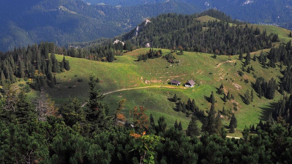Hiking route Around the Mürzer Oberland Nature Park - Touren-Impression #2.4 | © TV Hochsteiermark