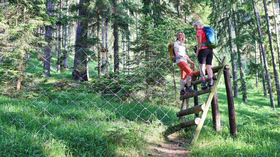 Hiking route From Kammern im Liesingtal to the Gößeck at Reiting - Touren-Impression #2.4 | © Weges OG