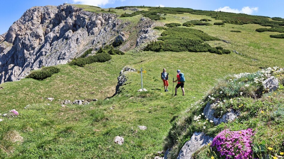 Hiking route From Kammern im Liesingtal to the Gößeck at Reiting - Touren-Impression #2.15 | © Weges OG