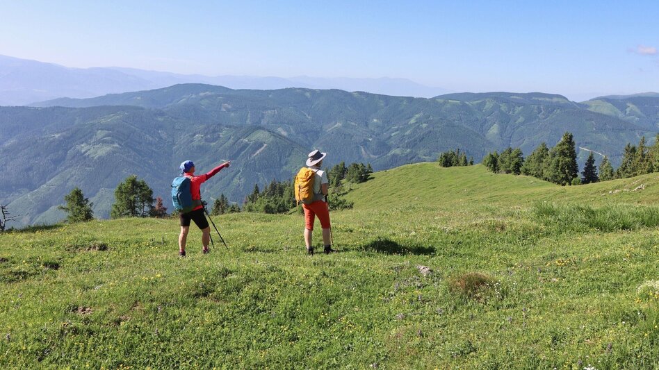 Hiking route From Kammern im Liesingtal to the Gößeck at Reiting - Touren-Impression #2.10 | © Weges OG