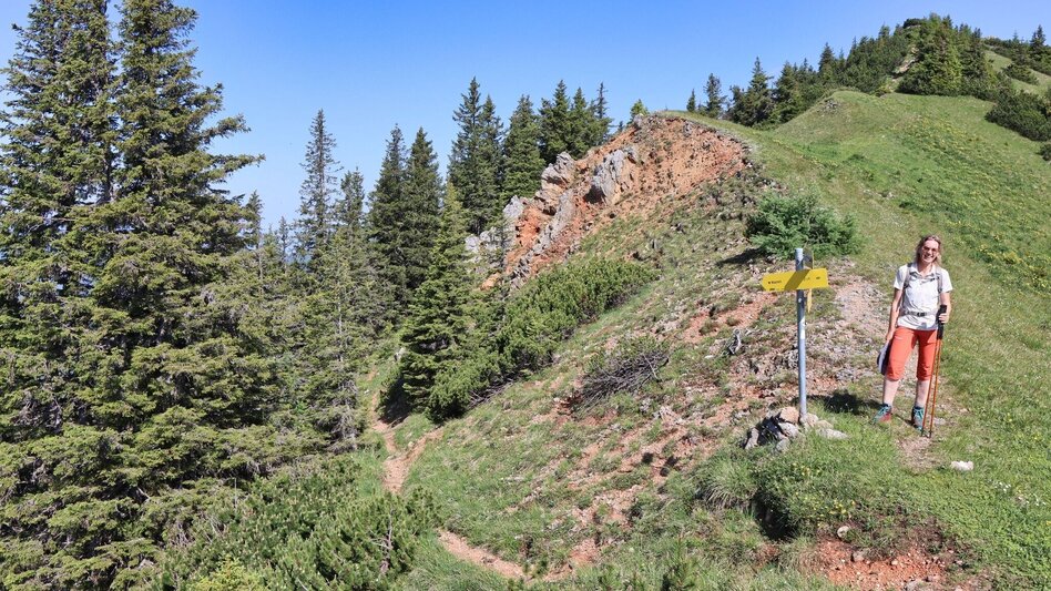 Hiking route From Kammern im Liesingtal to the Gößeck at Reiting - Touren-Impression #2.12 | © Weges OG