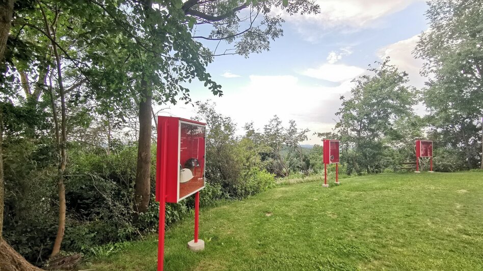 Hiking route Habt ACHT in Straden - Touren-Impression #2.7 | © Erlebnisregion Thermen- & Vulkanland