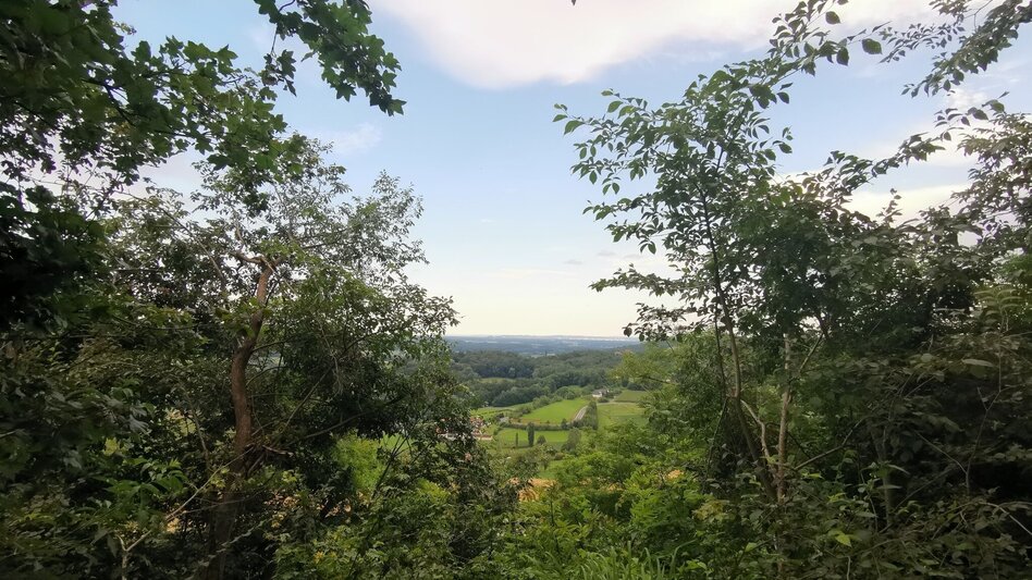 Hiking route Habt ACHT in Straden - Touren-Impression #2.11 | © Thermen- & Vulkanland