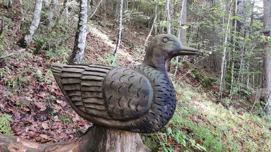 Hiking route The forest trail near the Salza reservoir - Touren-Impression #2.5 | © Ausseerland